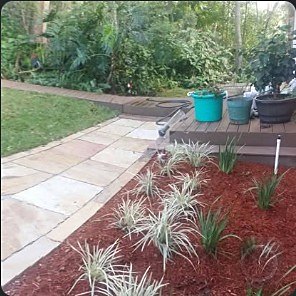Flagstone walkway beside a deck with ornamental grasses in a red-mulch bed.