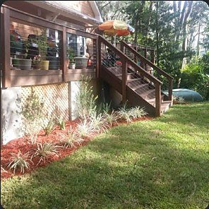 Deck and stair landing with new plantings in a red-mulch border.